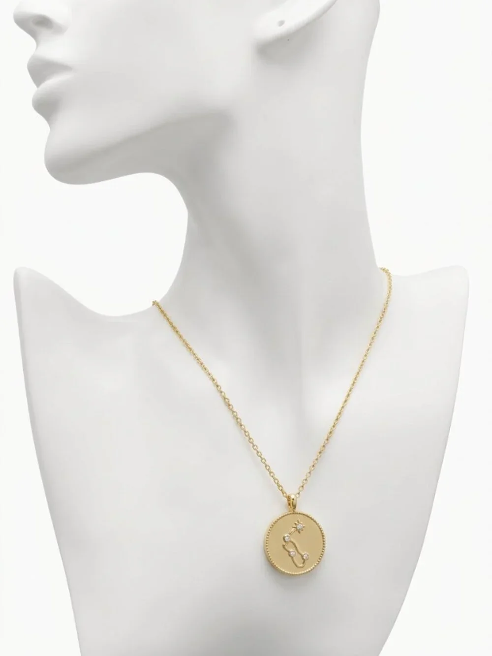 NWT Gorjana Gold Aquarius Astrology Coin Pendant Necklace